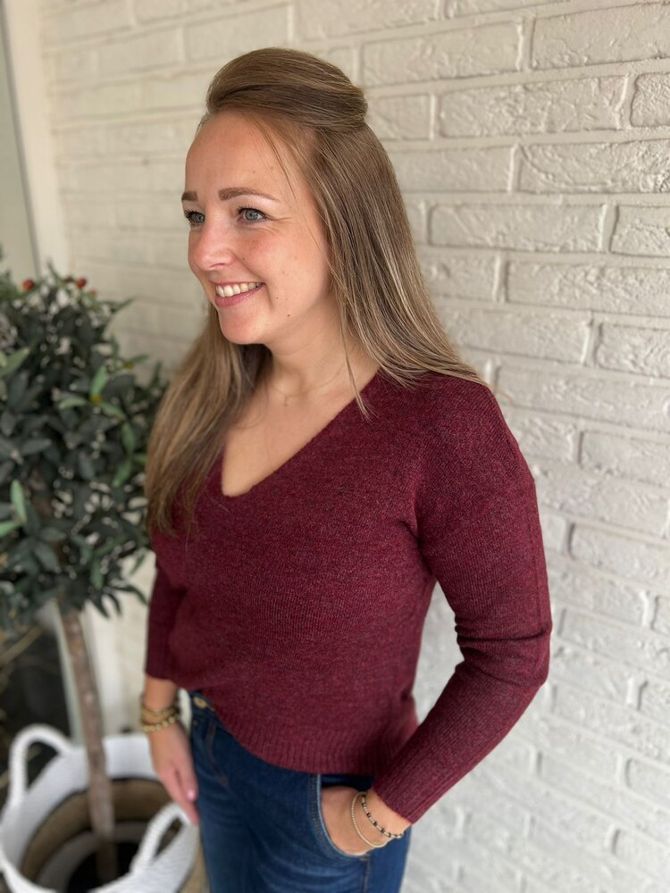 JDY JDYELANORA L/S V-NECK PULLO.KNT NOOS JDY JDYELANORA L/S V-NECK PULLO.KNT NOOS