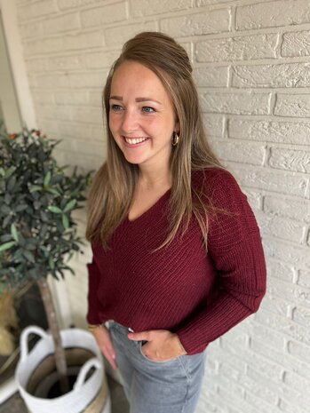 JDY JDYNEW MEGAN L/S PULLOVER KNT NOOS