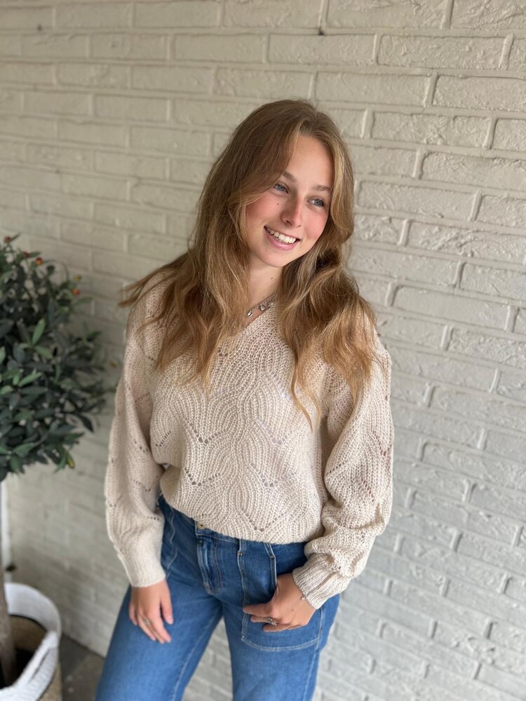 JDY JDYBADUT L/S V-NECK STRUC GLITT PULL KNT JDY JDYBADUT L/S V-NECK STRUC GLITT PULL KNT