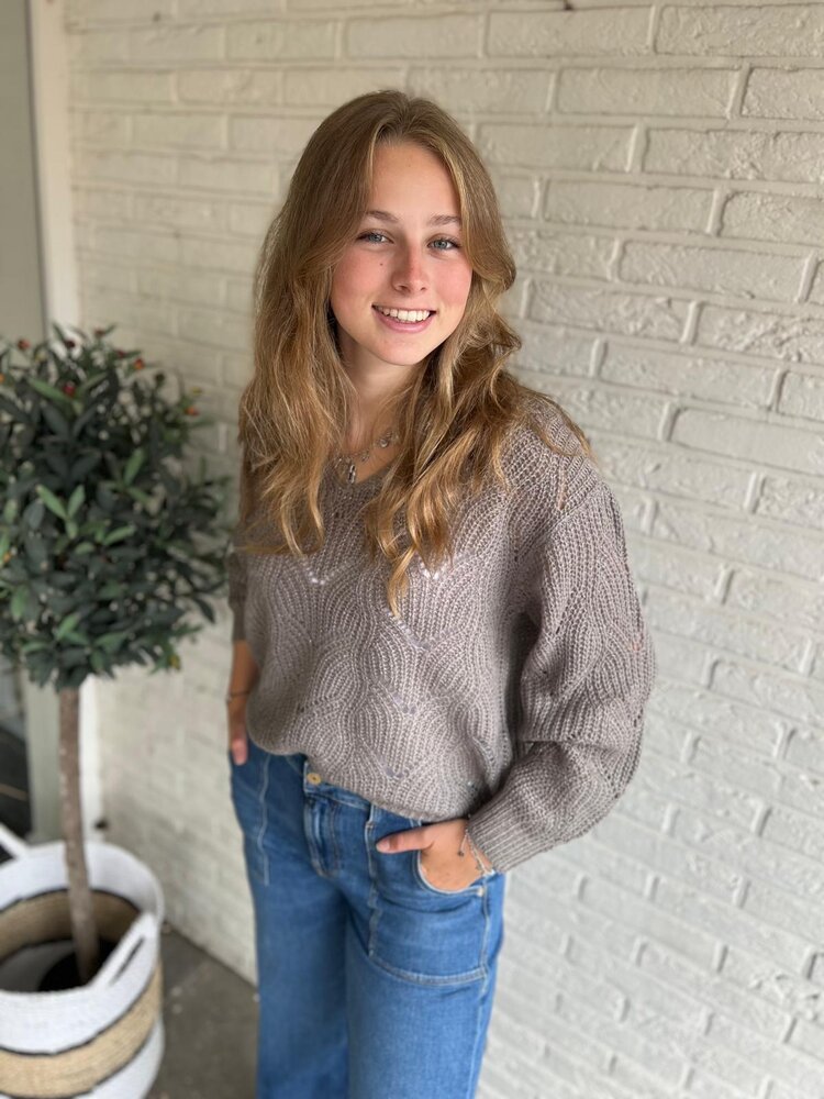 JDY JDYBADUT L/S V-NECK STRUC GLITT PULL KNT JDY JDYBADUT L/S V-NECK STRUC GLITT PULL KNT