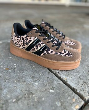 Poelman SNEAKER LILLY TAUPE Poelman SNEAKER LILLY TAUPE