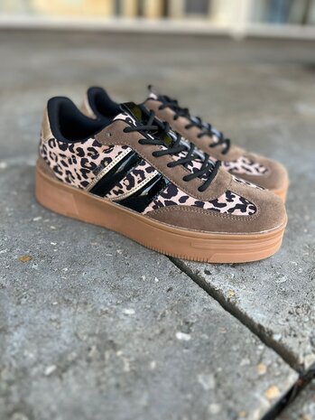 Poelman SNEAKER LILLY TAUPE