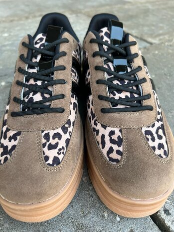 Poelman SNEAKER LILLY TAUPE