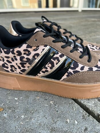 Poelman SNEAKER LILLY TAUPE