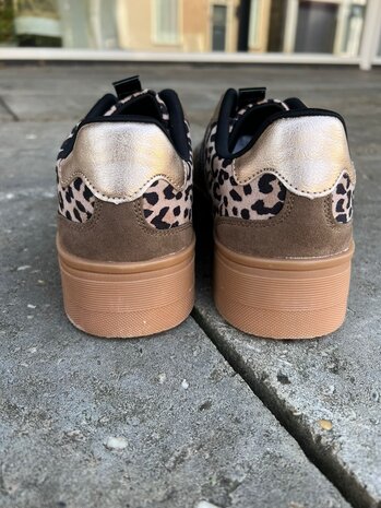 Poelman SNEAKER LILLY TAUPE