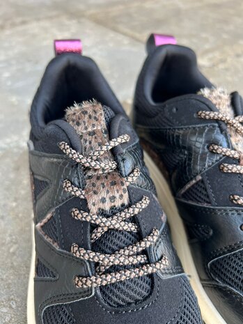 Poelman SNEAKER CAROCEL BLACK/BURG