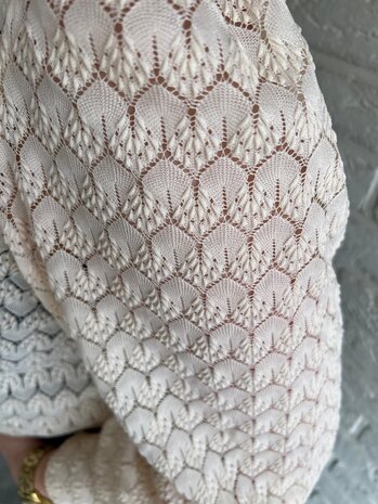 JDY JDYAVERY L/S LACE TOP JRS NOOS