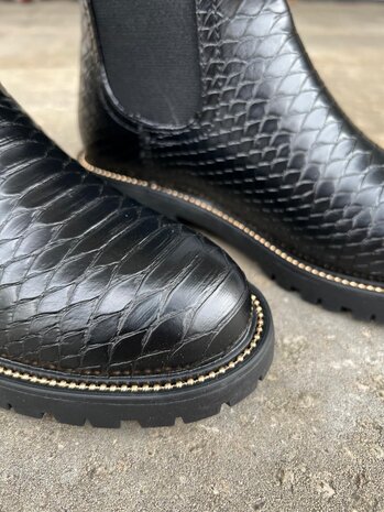 Poelman LAARS LEA Poelman LAARS LEA