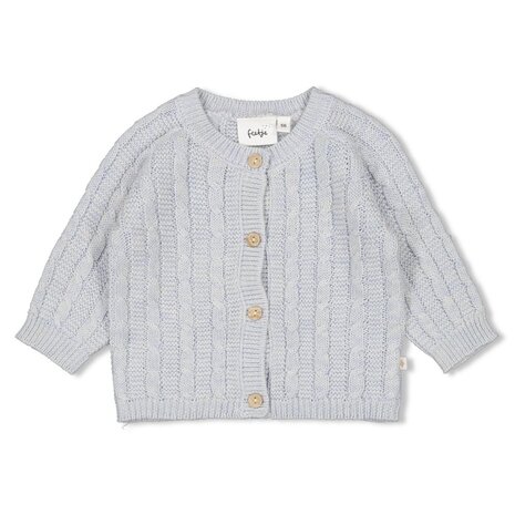 Feetje VESTJE GEBREID - THE KNITS - 51300538