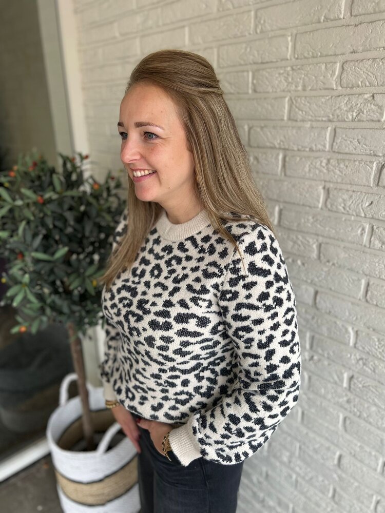 JDY JDYLORRAINE ANIMAL L/S PULLOVER KNT NOOS