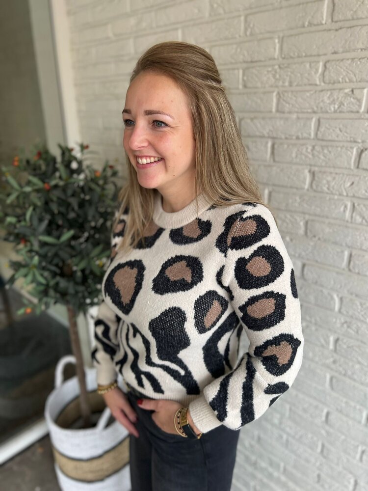 JDY JDYLORRAINE ANIMAL L/S PULLOVER KNT NOOS