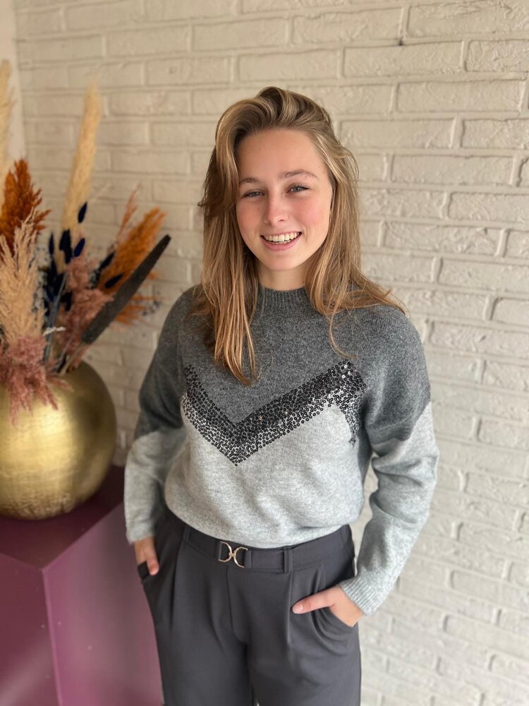 JDY JDYMATILDA LIFE L/S HN SEQUIN PULL KNT JDY JDYMATILDA LIFE L/S HN SEQUIN PULL KNT