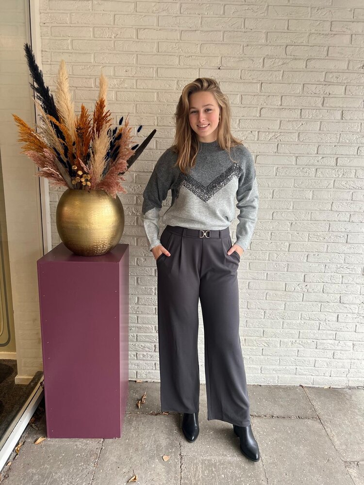 JDY JDYGEGGO LIFE BELT PANT JRS NOOS