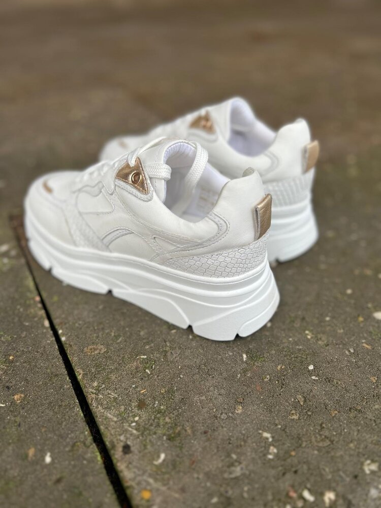 Poelman SNEAKER JANA