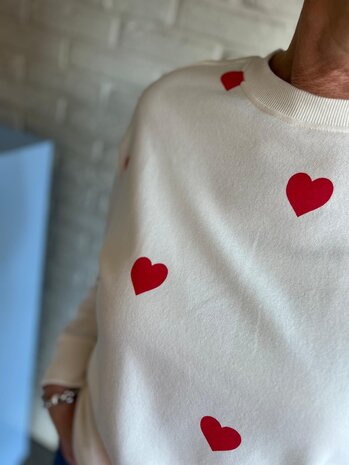 JDY JDYANNA LIFE L/S TEKST SWEAT JRS DIA