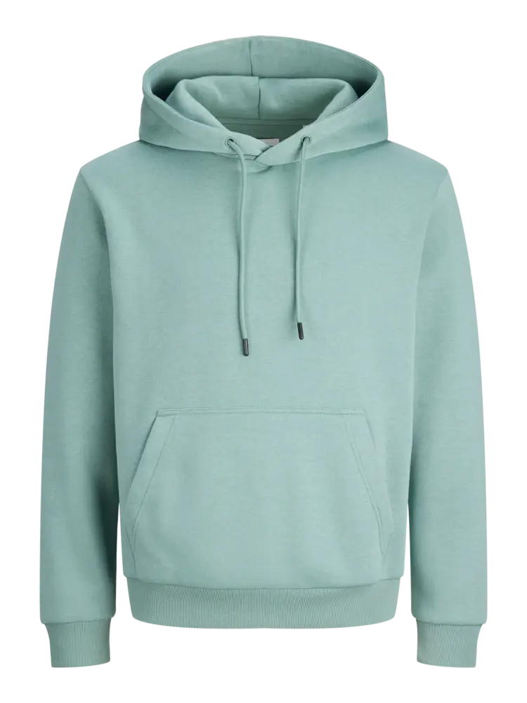 Jack en Jones JJEBRADLEY SWEAT HOOD NOOS