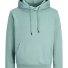 Jack en Jones JJEBRADLEY SWEAT HOOD NOOS