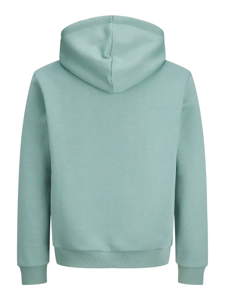 Jack en Jones JJEBRADLEY SWEAT HOOD NOOS