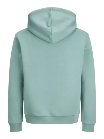 Jack en Jones JJEBRADLEY SWEAT HOOD NOOS