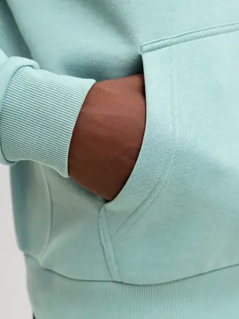 Jack en Jones JJEBRADLEY SWEAT HOOD NOOS