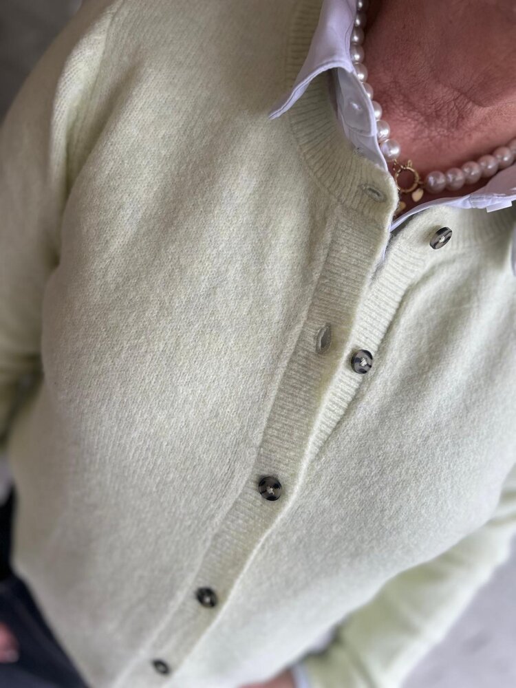 JDY JDYCHLOE LIFE L/S CARDIGAN KNT NOOS