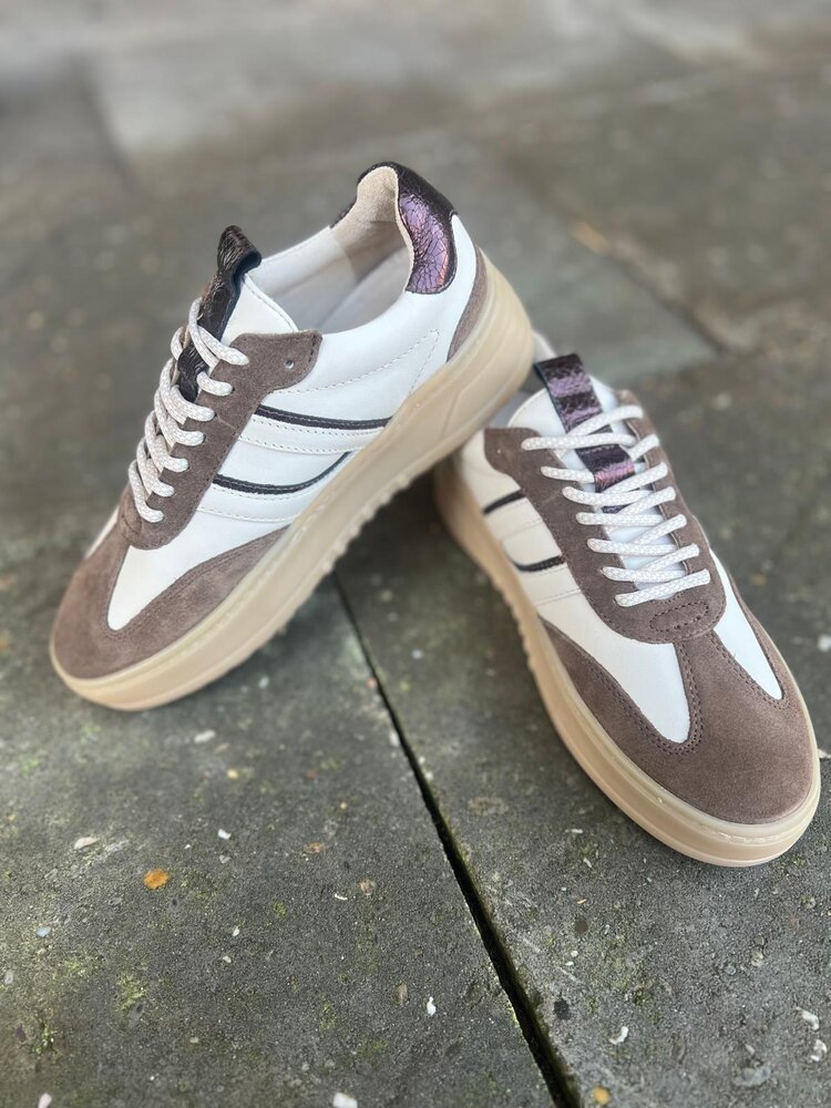Poelman SNEAKER ANEMONE MOKA/VANILLA