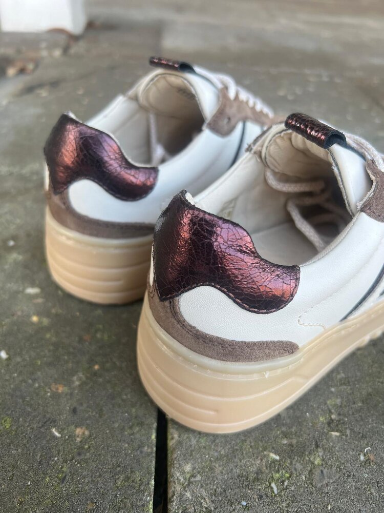 Poelman SNEAKER ANEMONE MOKA/VANILLA