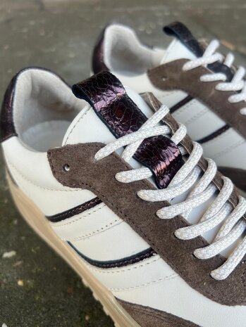 Poelman SNEAKER ANEMONE MOKA/VANILLA