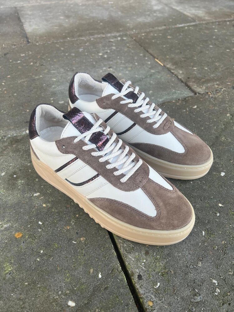 Poelman SNEAKER ANEMONE MOKA/VANILLA