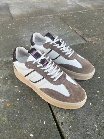 Poelman SNEAKER ANEMONE MOKA/VANILLA