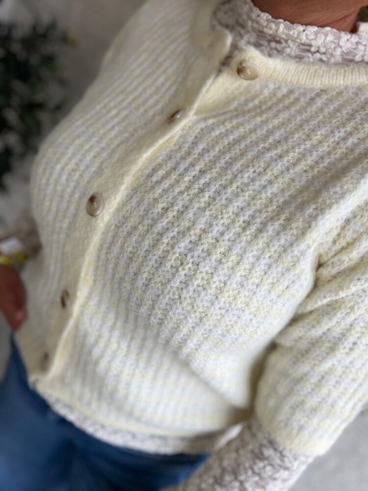 VEST STREEP BOTERGEEL