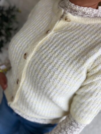 VEST STREEP BOTERGEEL