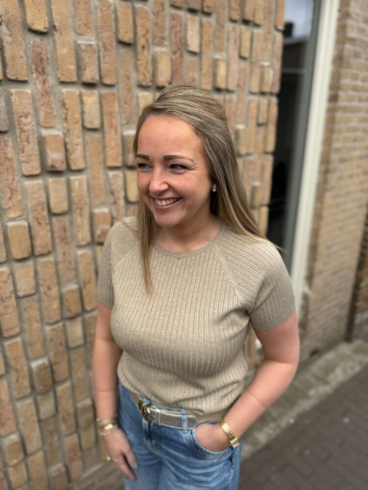 JDY JDYBODILLA S/S GLITTER PULLOVER KNT NOOS