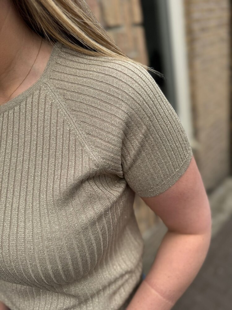 JDY JDYBODILLA S/S GLITTER PULLOVER KNT NOOS