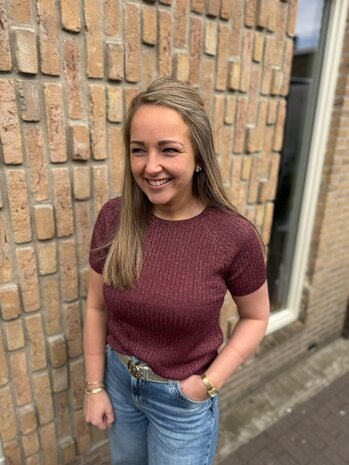 JDY JDYBODILLA S/S GLITTER PULLOVER KNT NOOS