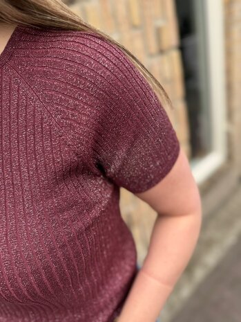 JDY JDYBODILLA S/S GLITTER PULLOVER KNT NOOS