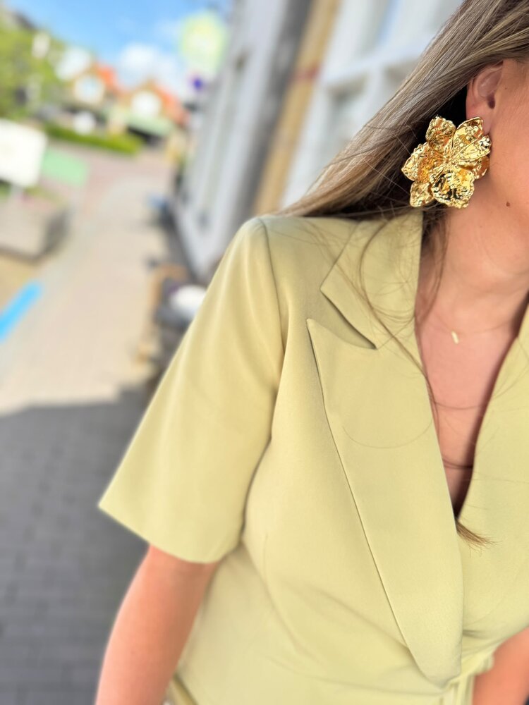 Ydence DRESS HAZEL PISTACHIO