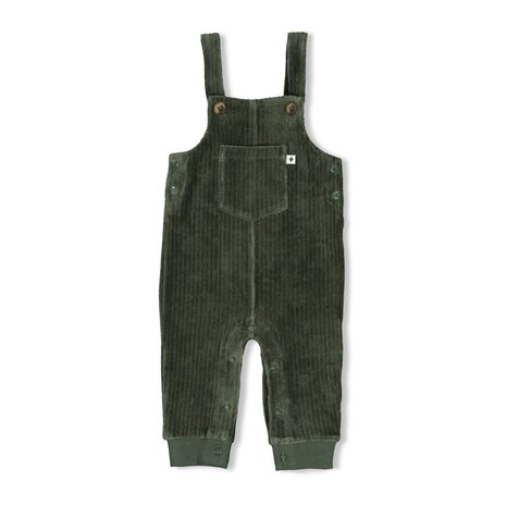 Feetje TUINBROEK VERLOURS RIB - WIGGLE AND WADDLE - 52000143