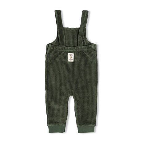 Feetje TUINBROEK VERLOURS RIB - WIGGLE AND WADDLE - 52000143