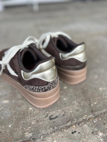 Poelman SNEAKER MILLIE CHOCOLATE