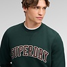 Superdry ATHLETIC APPLIQUE RELAXED CREW ENAMEL GREEN
