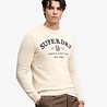 Superdry APPLIQUE GRAPHIC JUMPER RAINY DAY GREY