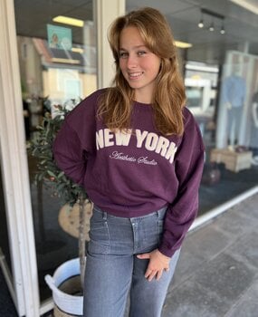 JDY JDYMESA L/S O-NK EMB SWEAT JRS NOOS PLUM PERFECT JDY JDYMESA L/S O-NK EMB SWEAT JRS NOOS PLUM PERFECT