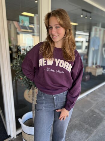 JDY JDYMESA L/S O-NK EMB SWEAT JRS NOOS PLUM PERFECT JDY JDYMESA L/S O-NK EMB SWEAT JRS NOOS PLUM PERFECT