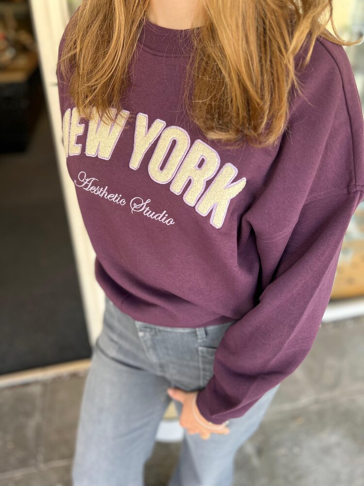 JDY JDYMESA L/S O-NK EMB SWEAT JRS NOOS PLUM PERFECT JDY JDYMESA L/S O-NK EMB SWEAT JRS NOOS PLUM PERFECT