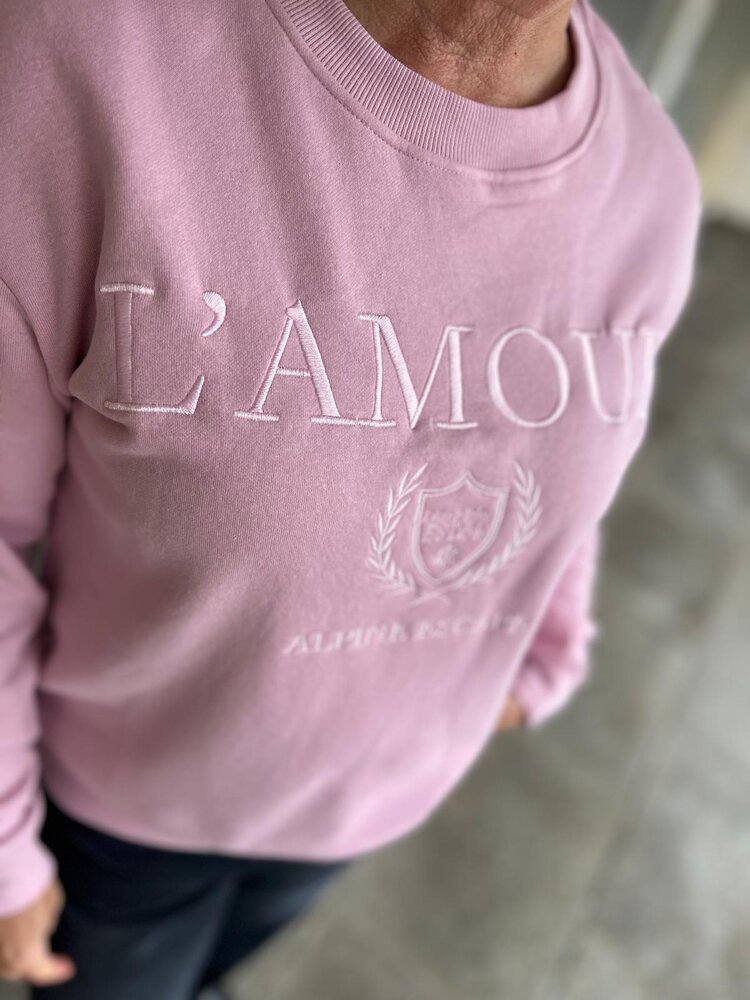 JDY JDYPARIS L/S EMB SWEAT JRS NOOS