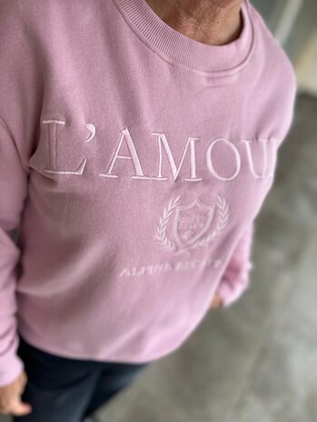 JDY JDYPARIS L/S EMB SWEAT JRS NOOS