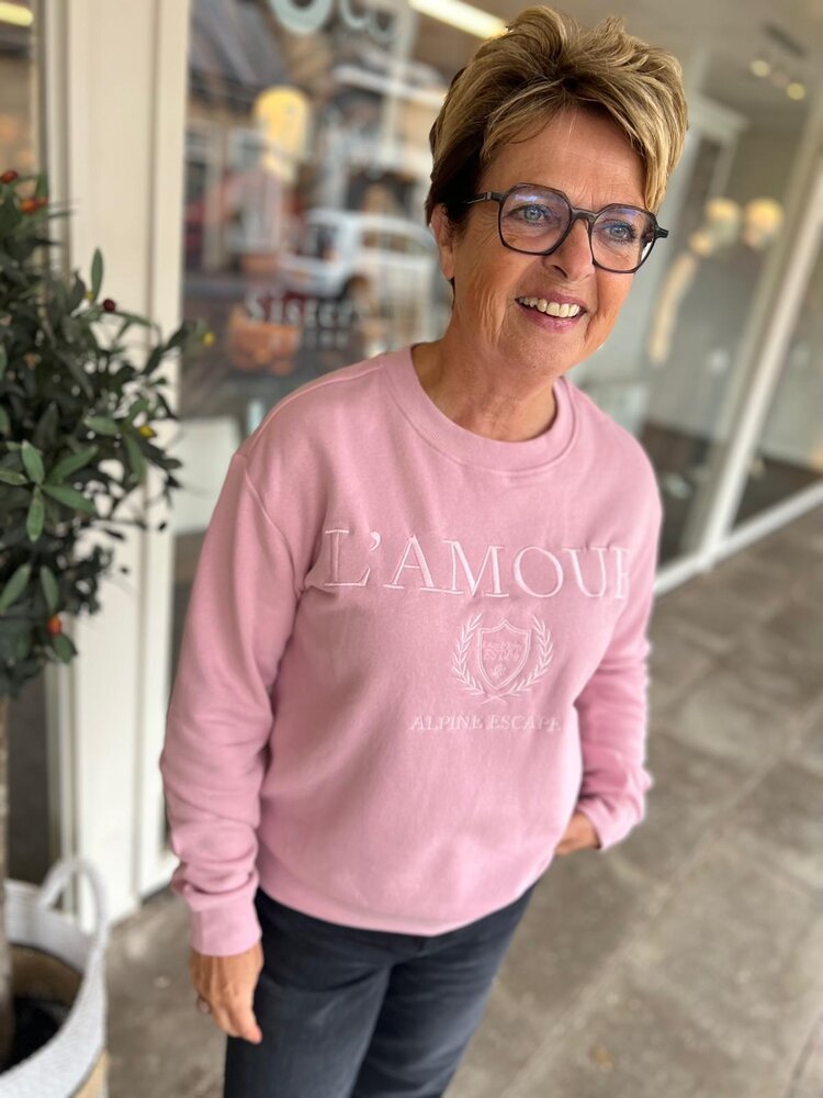JDY JDYPARIS L/S EMB SWEAT JRS NOOS