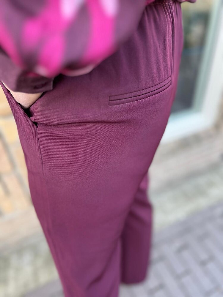 Ydence PANTS SOLANGE PLUM