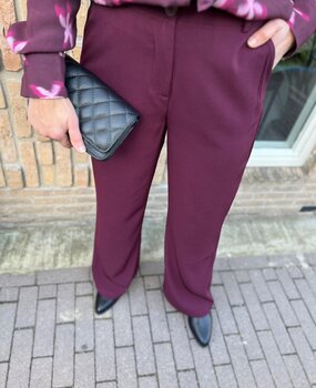 Ydence PANTS SOLANGE PLUM